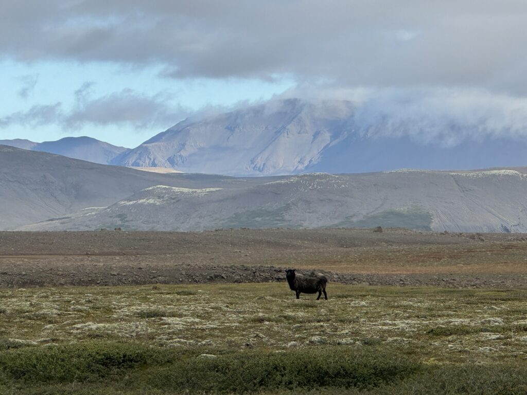 drive out kerlingarfjöll 1