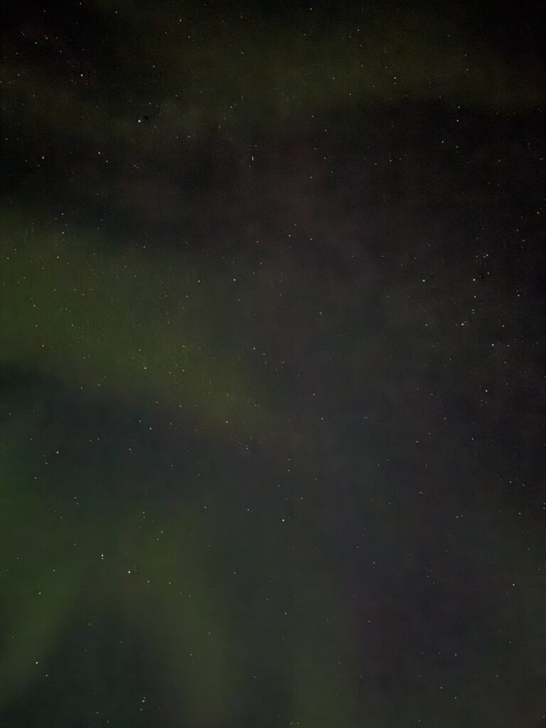 northern lights (6)
